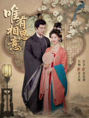 唯有相思意（100集）热播短剧停不下来