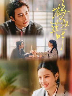 鹤归瑾时（81集）短剧全集热力排行榜之一