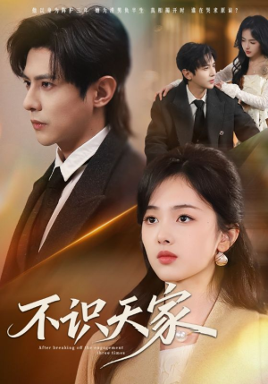 不识天家（69集）超好看的短剧强烈推荐