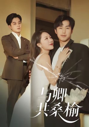 与卿共桑榆（63集）短剧终极大放送合集