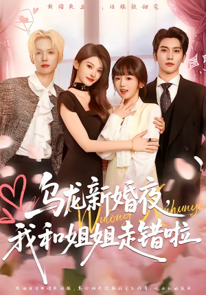 乌龙新婚夜，我和姐姐走错啦（59集）每天更新最火短剧