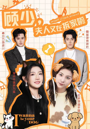 顾少，夫人又在拆家啦（78集）热播短剧抢先看大结局