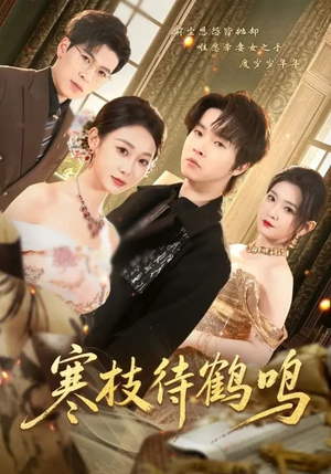 寒枝待鹤鸣（70集）短剧全剧终高清放送