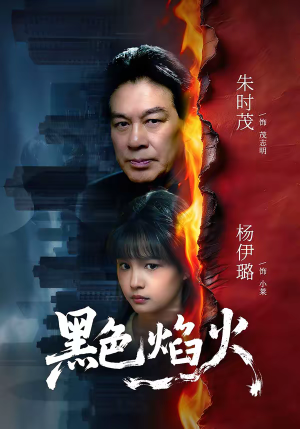 黑色焰火（41集）热门短剧推荐分享