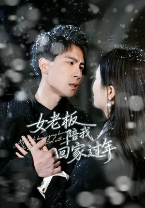 女老板陪我回家过年（40集）短剧全集投屏大屏看