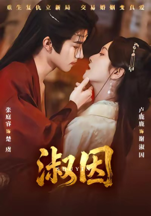 淑因（65集）最新短剧火爆来袭