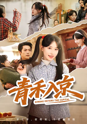 青禾入京（60集）男女都爱看的短剧