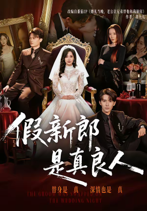 假新郎是真良人（67集）免费看短剧大结局