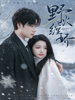 野火缠娇（66集）每日坚持分享短剧