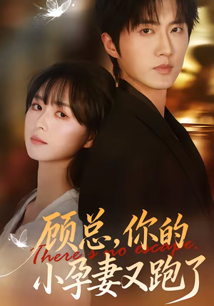 顾总，你的小孕妻又跑了（47集）好看短剧每天更新