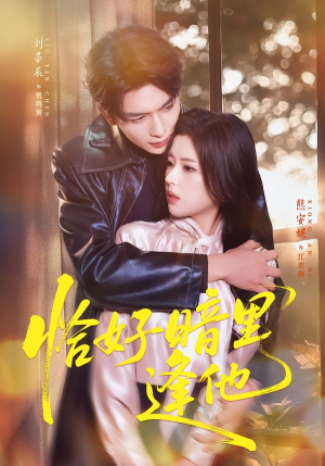 恰好暗里逢他（66集）悟空游览器免费看短剧