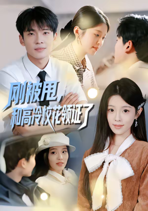 刚被甩，和高冷校花领证了（67集）短剧全集无删完整版