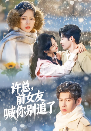 许总，前女友喊你别追了（80集）古装重生短剧推荐