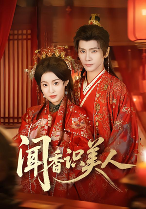 闻香识美人（65集）短剧解说推荐好剧