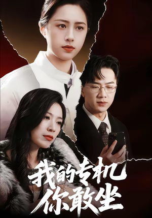 我的专机你敢坐（62集）看一段就想看完的短剧