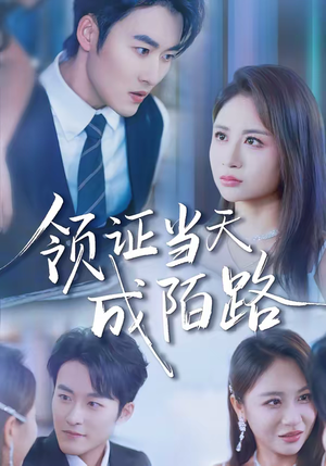 领证当天成陌路（39集）短剧追到爽越看越好看