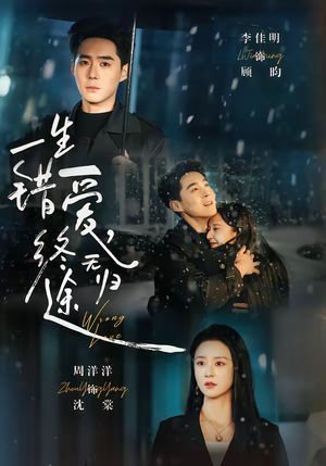 一生错爱，终无归途（74集）古装热门短剧推荐