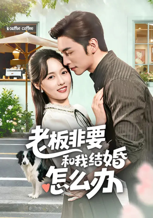 老板非要和我结婚怎么办（50集）短剧分享精彩后续