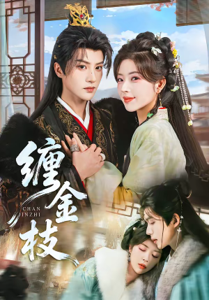 缠金枝（69集）精彩短剧每天更新