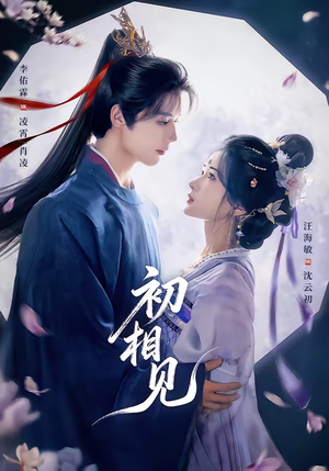 初相见（76集）好看的短剧追到爽