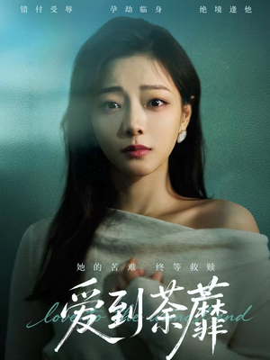 爱到荼蘼（63集）短剧最热榜最近火