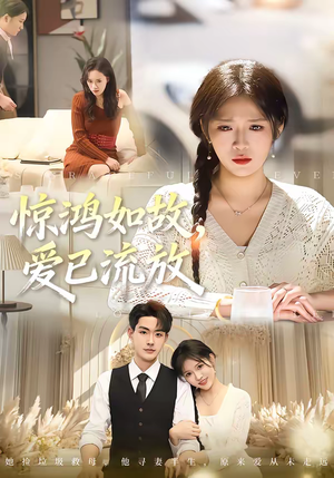 惊鸿如故，爱已流放（81集）短剧全集无删完整版
