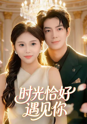 时光恰好遇见你（80集）超火爆短剧抢先看全集