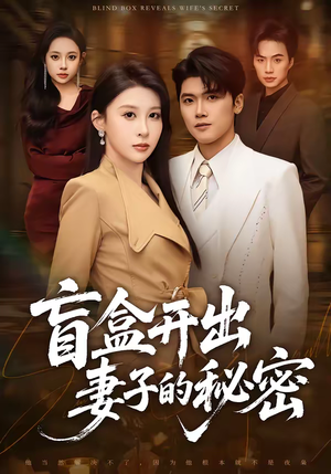 盲盒开出妻子的秘密（40集）短剧最终章免费合集