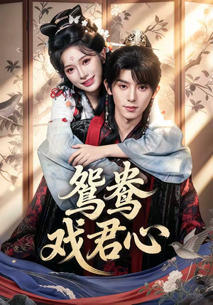 鸳鸯戏君心（60集）这个短剧太精彩了