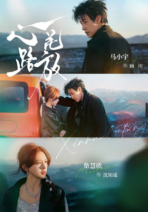 心花路放（60集）短剧推荐正在热播