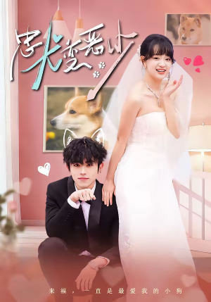 惊！我家来福变恶少了＆忠犬变恶少（80集）今日热门短剧推荐