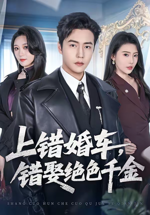 上错婚车，错娶绝色千金（80集）热门短剧新剧推荐