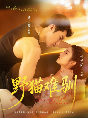 野猫难驯（73集）短剧抢先看精彩无限量