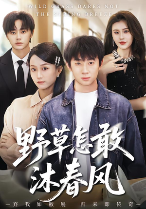 野草怎敢沐春风（61集）每天分享不一样的短剧