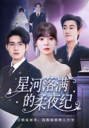 星河落满的柔夜纪（88集）短剧大结局全集解锁