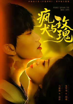 疯犬与玫瑰（80集）好看短剧每天更新