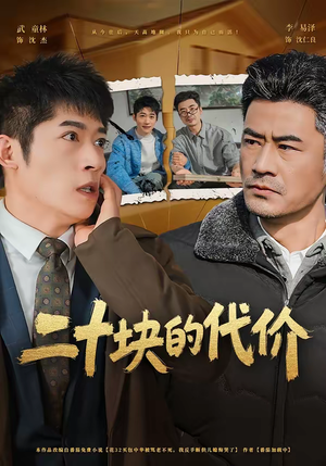 二十块的代价（64集）短剧热播精彩片段