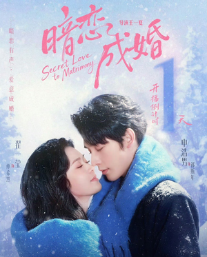 暗恋成婚（60集）热播短剧推荐分享