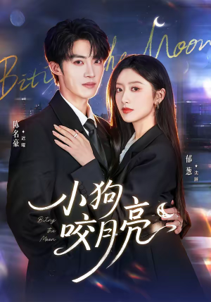 小狗咬月亮（66集）每日短剧分享更新