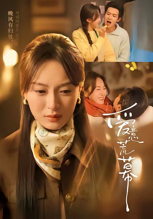 爱意荒幕（70集）每天更新精彩短剧