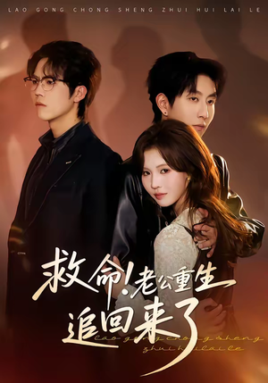 救命！老公重生追回来了（40集）这个短剧太精彩了