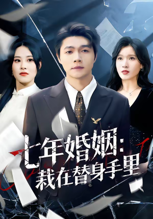 七年婚姻：栽在替身手里（80集）超好看短剧抢先看全集