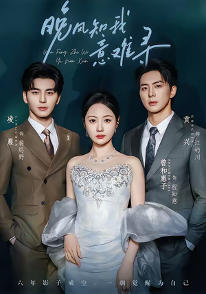 晚风知我意难寻（60集）红果短剧大结局抢先看