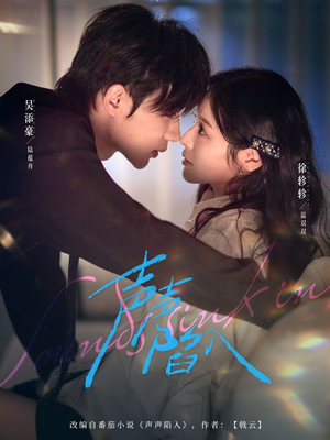 声声陷入（73集）热门小说改编短剧