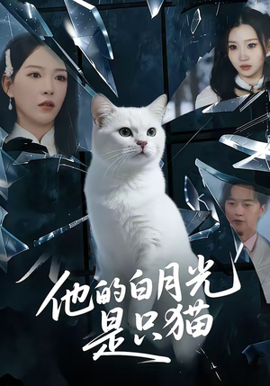 他的白月光是只猫（69集）短剧全集畅看无门槛