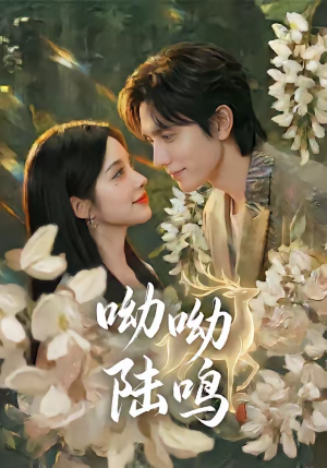 呦呦陆鸣（67集）短剧热播中抢先看