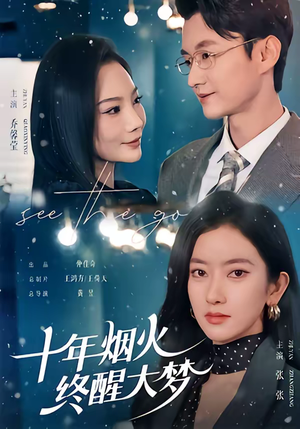 十年烟火，终醒大梦（60集）热播短剧停不下来