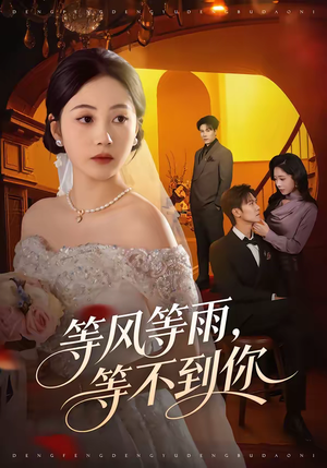 等风等雨，等不到你（65集）短剧全剧终高清放送