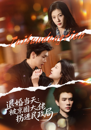 退婚当天：被京圈大佬拐进民政局（80集）热播短剧停不下来