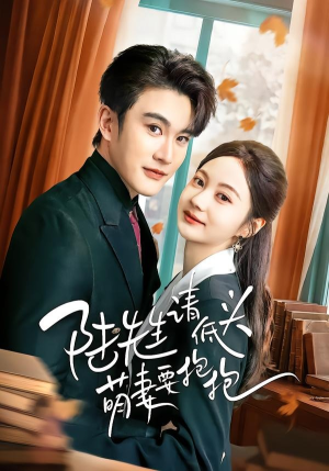 陆先生请低头萌妻要抱抱（51集）短剧全剧免费合集